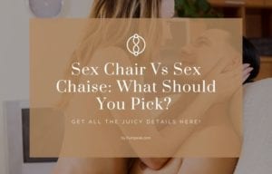 Sex Chair Vs Sex Chaise