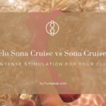 Lelo Sona Cruise vs Sona Cruise 2